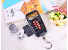 Load image into Gallery viewer, Portable Electronic Pocket Fish Scale