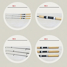Load image into Gallery viewer, Combo Pen Pole Rod