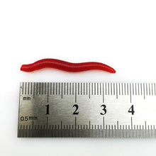 Load image into Gallery viewer, Soft Lure Red Worms